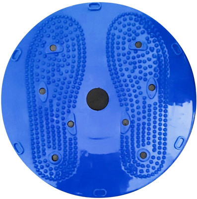 ELITSA Twister Abdominal ABS Exerciser Magnetic Treatment Therapy Ab Exerciser(Multicolor)