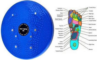 abcdeyes Tummy Twister Oblique Workout Burn Love Handles Fat for Home and Gym Ab Exerciser(Multicolor)