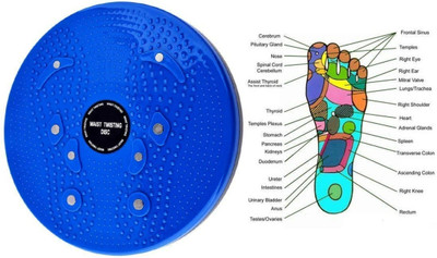gamers hub Tummy Twister Ab Roller Exerciser & Belly Fat Reducer for Men & Women Ab Exerciser(Multicolor)