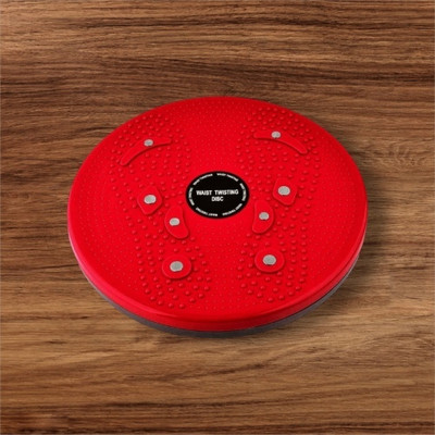 Y2M Tummy Ab Twister 763 Ab Exerciser(Multicolor)