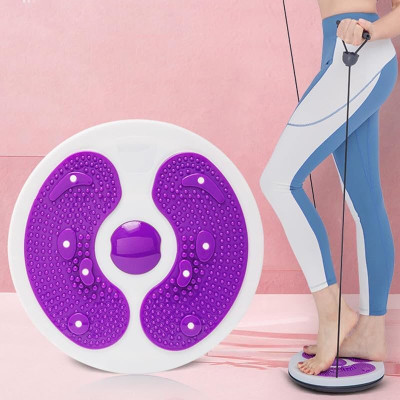 PORMONO Twisting Disc Exercises Ab Exerciser(Multicolor)