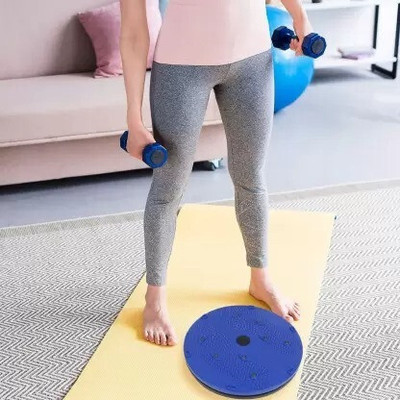 IRONCORE Twister (Pyramids n Magnets) Ab Exerciser (Blue) Ab Exerciser(Multicolor)