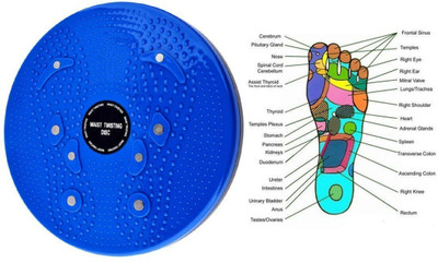 Batlow Tummy Twister Ab Roller Exerciser & Belly Fat Reducer for Men & Women Ab Exerciser(Multicolor)