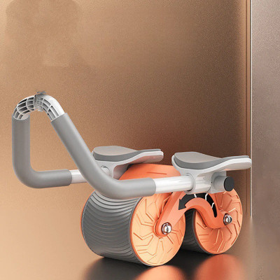 Quinergys Ab roller Wheel for men women with Mobile holder and Timer Ab Exerciser(Multicolor)