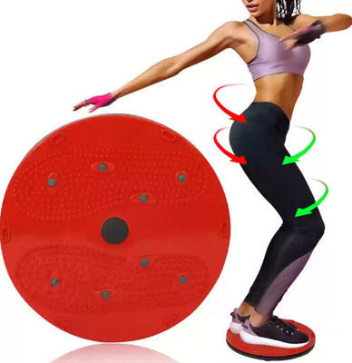 gamers hub Acupressure Fat Burning Weight Loss ,Non-slip ,Slim & Fit Twister for Unisex Ab Exerciser(Multicolor)