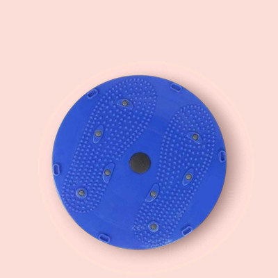 SIDHIVINAYAK CREATIONS Unisex Tummy Twister_N392 Ab Exerciser(Blue)