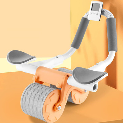 Quinergys Ab Roller for Men and Women Abs Workout-Multicolor Ab Exerciser(Multicolor)