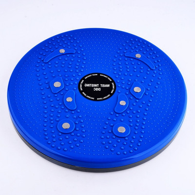 kidducollection KidduTummy Twister_N535 Ab Exerciser(Blue, Multicolor)