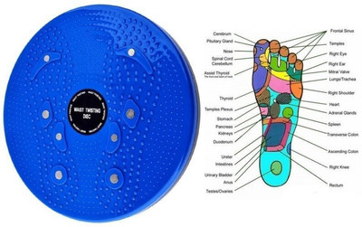 DHEER BODY Stepper Ab Exerciser(Blue)