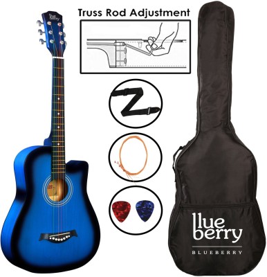 BLUEBERRY B-D38-Blue, 38Inch Inbuilt TrussRod Acoustic Guitar Linden Wood Plastic Right Hand Orientation(Blue)