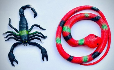 Vedy RUBBER SNAKE AND SCORPION COMBO PACK(Multicolor)