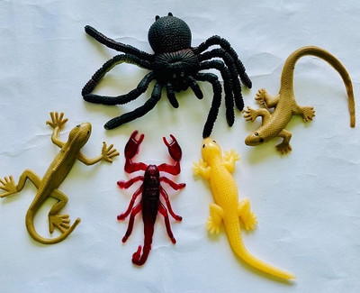 Tik C Rubber lizard spider combo set(Multicolor)