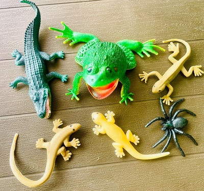 Tik C Rubber frog,crocodile,lizards spider gang toys(Multicolor)