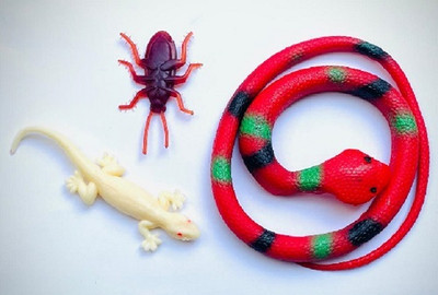 Vedy Rubber snake lizard and cockroach combo pack(Multicolor)
