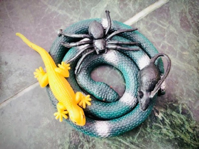 Tik C RUBBER SNAKE RAT,LIZARD AND SPIDER COMBO PACK(Multicolor)