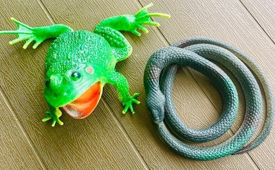 Tik C rubber snake and rubber frog(Multicolor)