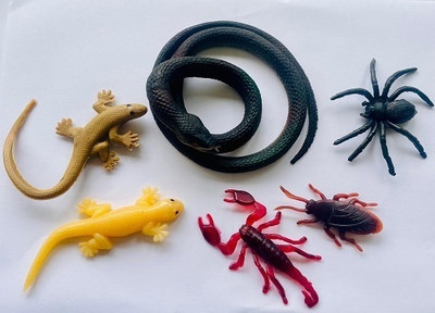 Tik C Rubber snake spider cockroach and lizard toys(Multicolor)
