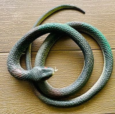 Tik C Rubber snake prank toy(Multicolor)
