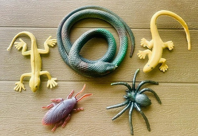 Tik C Rubber snake spider lizard gang toys(Multicolor)