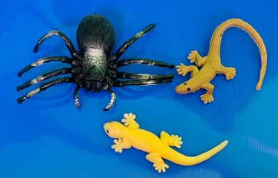 Tik C Rubber spider lizard toys(Multicolor)