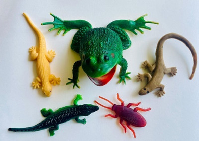Tik C animal toys rubber crocodile,frog,lizard and cockroach gang(Multicolor)