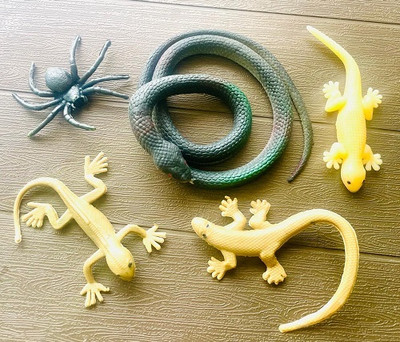 Tik C Rubber lizards spider snake combo pack(Multicolor)