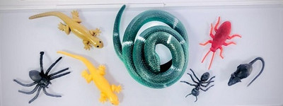 Tik C SNAKE LIZARD RAT SPIDER ANT GAMG COMBO PACK(Multicolor)
