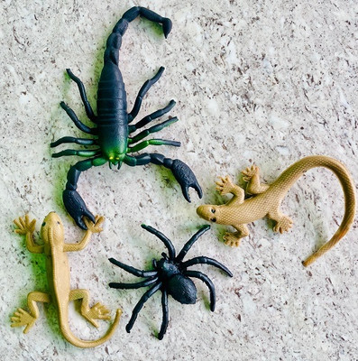 Tik C Rubber scorpion,spider,lizard toys(Multicolor)
