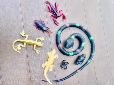 Tik C Rubber snake rat,lizard,ant gang toys(Multicolor)