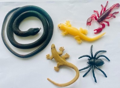 Tik C Animal toys set rubber snake,lizard,spider and scropion(Multicolor)