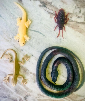 Tik C Rubber snake and lizard gang toys(Multicolor)