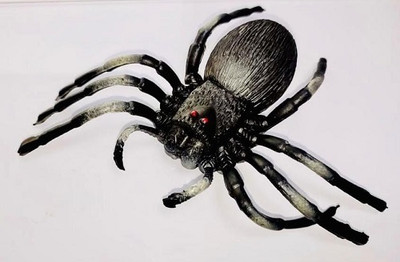 Tik C SPIDER TOY FOR KIDS(Black)