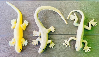 Tik C rubber lizard prank toy(Multicolor)