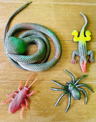 Tik C animal toys rubber snake,lizard and spider(Multicolor)