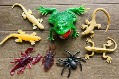 Tik C Cute frog lizards and spider gang toys(Multicolor)