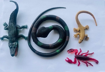 Tik C Rubber snake crocodile,and lizard toys(Multicolor)