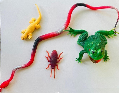 Tik C animal toys rubber frog,snake,lizard and cockroach(Multicolor)