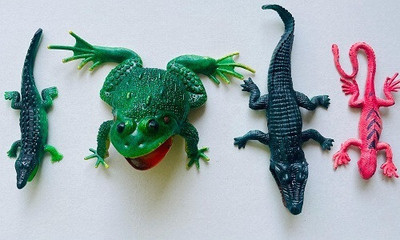 Tik C animal toys crocodile,frog and lizard (set of 4)(Multicolor)