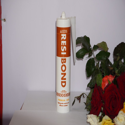 ASTRAL Premium 1010 Adhesive(280 ml)