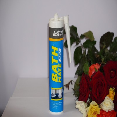 ASTRAL Acrylic Sealant Adhesive (300 ml) Adhesive(5 L)