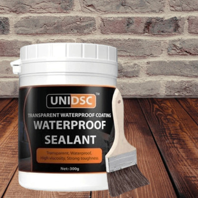 UNIDSC Crack Seal Glue with Brush Transparent Waterproof Resin Epoxy for Roof Leakage Adhesive(300 g)