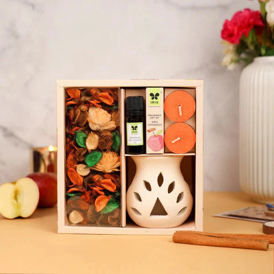 IRIS Apple Cinnamon Fragranced Gift Diffuser Set Apple Cinnamon Fragrance Gift Set(1 Units)
