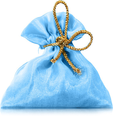 PIKXIPETALS Ocrean Mist Potpourri Fragnance Sack Lightweight And Portable Design / Perfect For Home Bedroom & Wardrobe Ocean Mist(50 ml)