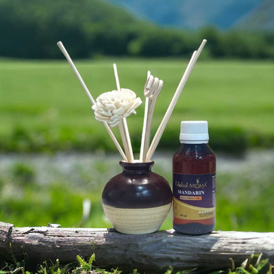 GLOBAL AROMA MANDARIN Diffuser Set Mandarin Reed Diffuser Set-100 ml | Toxin-Free | Fine-Living Fragrance for Office, Home and Stress Relief | Mood Enhancer(100 ml)