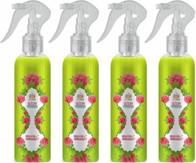 ST-JOHN Room Freshener | Long Lasting Fragrance | Eucalyptus & Lemongrass | Combo Pack of 4 Spray(4 x 250 ml)
