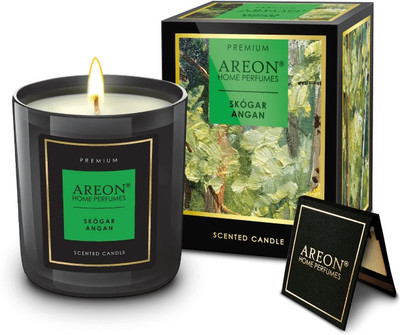 areon Skógar Angan Blocks PC07(150 ml)