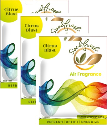 Soulfresh Air Pocket, Air Freshener, for Bathroom and Toilet Fragrance, Last upto 30days, Citrus Diffuser(3 x 10 g)