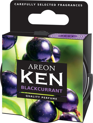 areon Blackcurrant Diffuser Blackcurrant(35 g)
