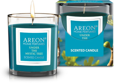 areon Under the Mystic Tree Blocks CR06(150 ml)