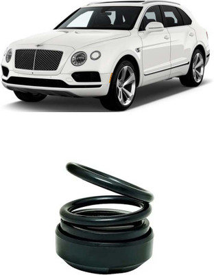 Dvis Aqua Diffuser Solar Double Ring Fragrance Diffuser Car Air Freshener D-1776(150 g)